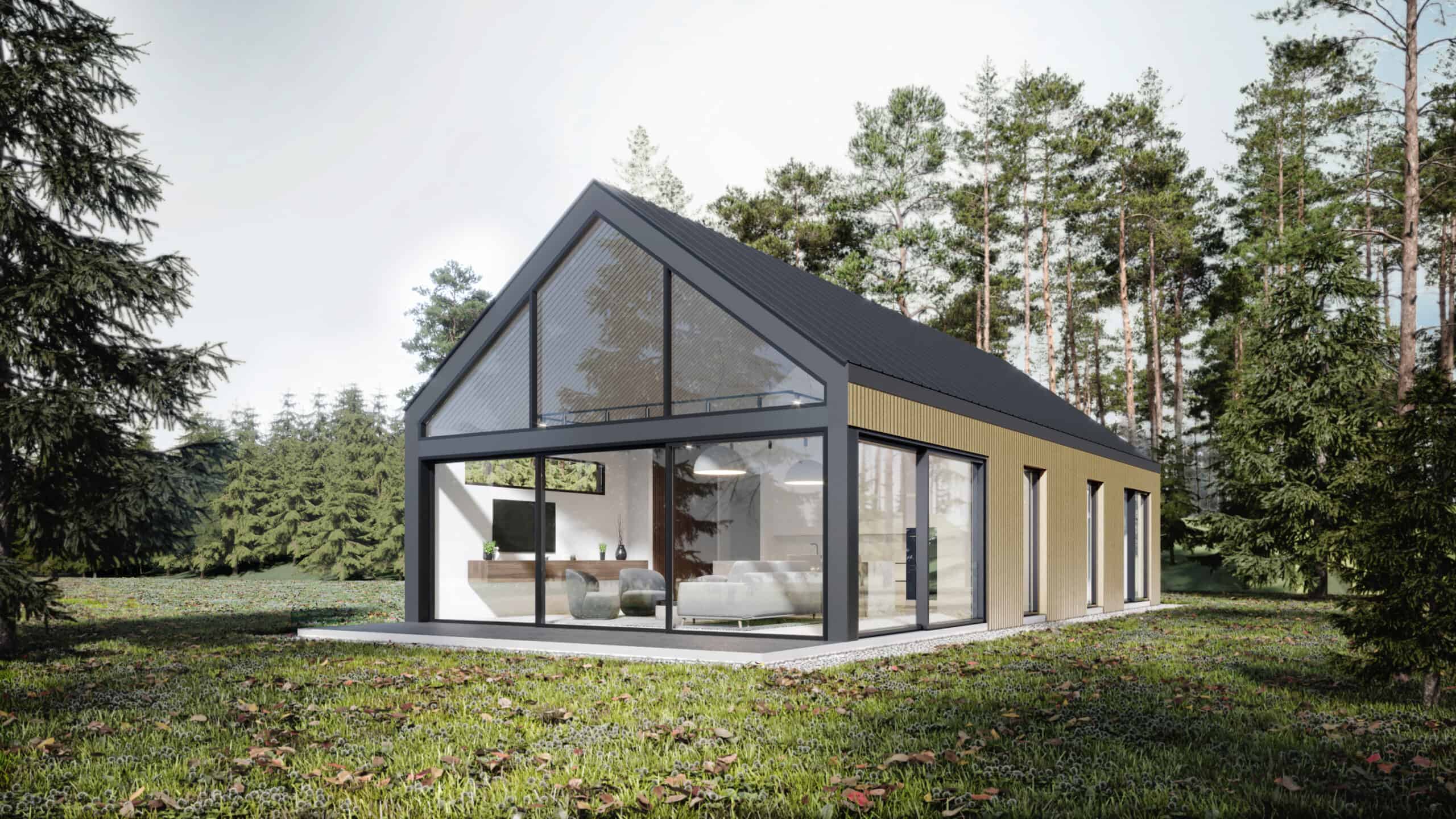 Mystiq modern cabin model - exterior view